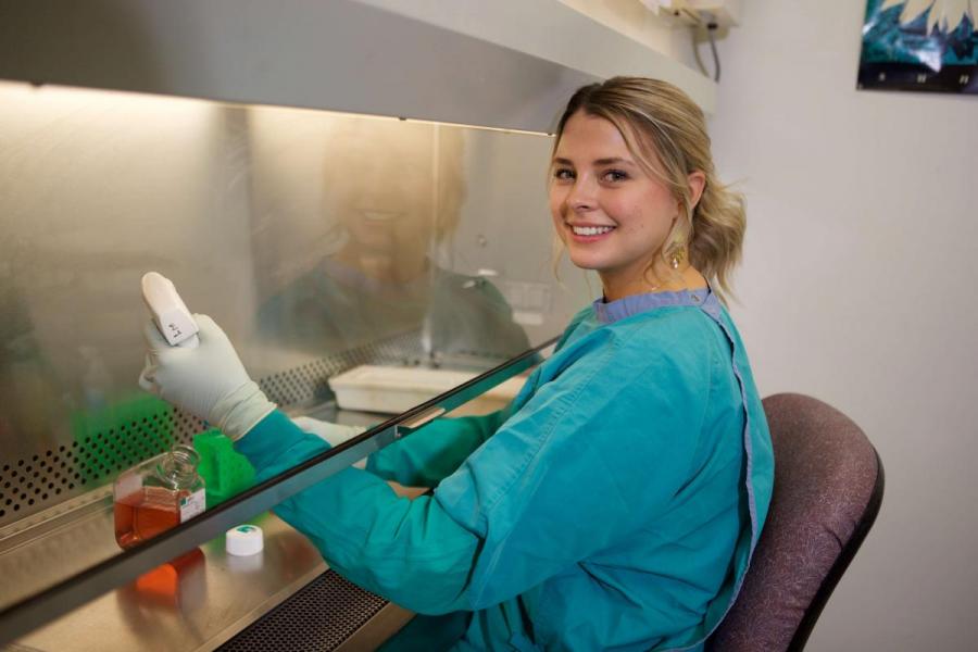 Student working under a fume hood with a pipette and test tubes.