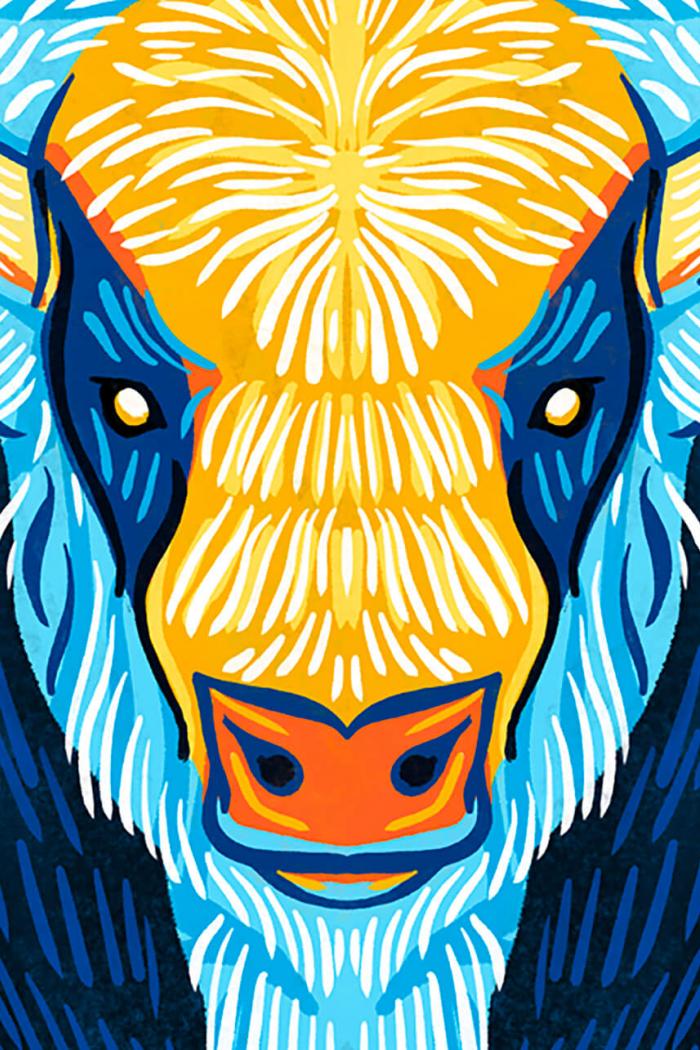 Illustrated colourful bison facing head-on